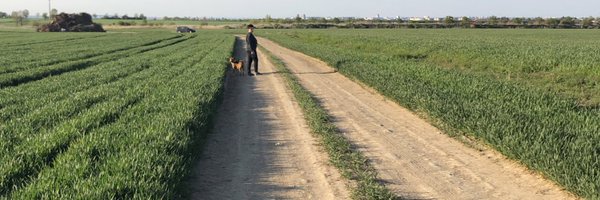 CommentDado Profile Banner