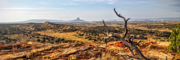 Guthrie_Geo Profile Banner