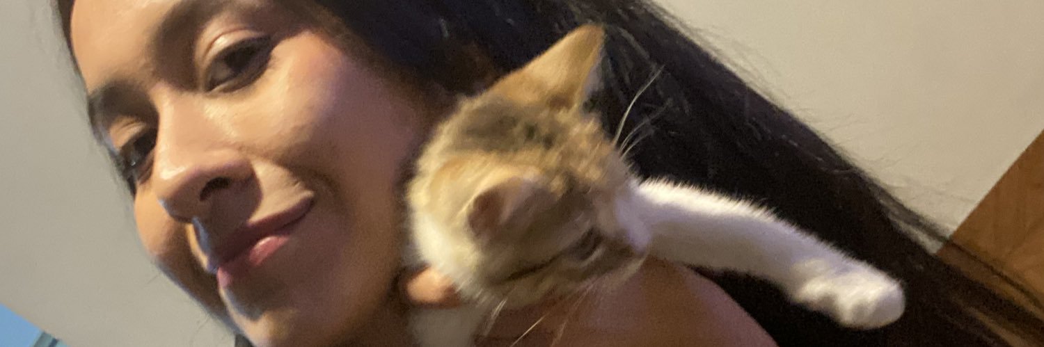 ValentinAbaca10's profile banner image