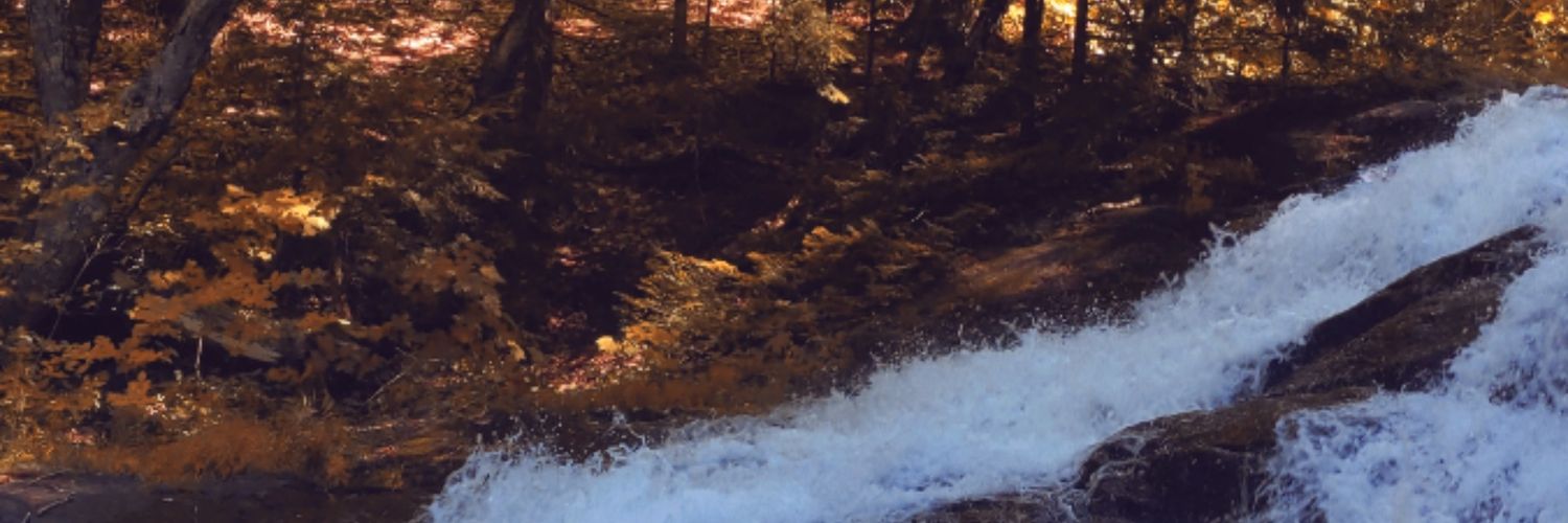 Abstract12_'s profile banner image