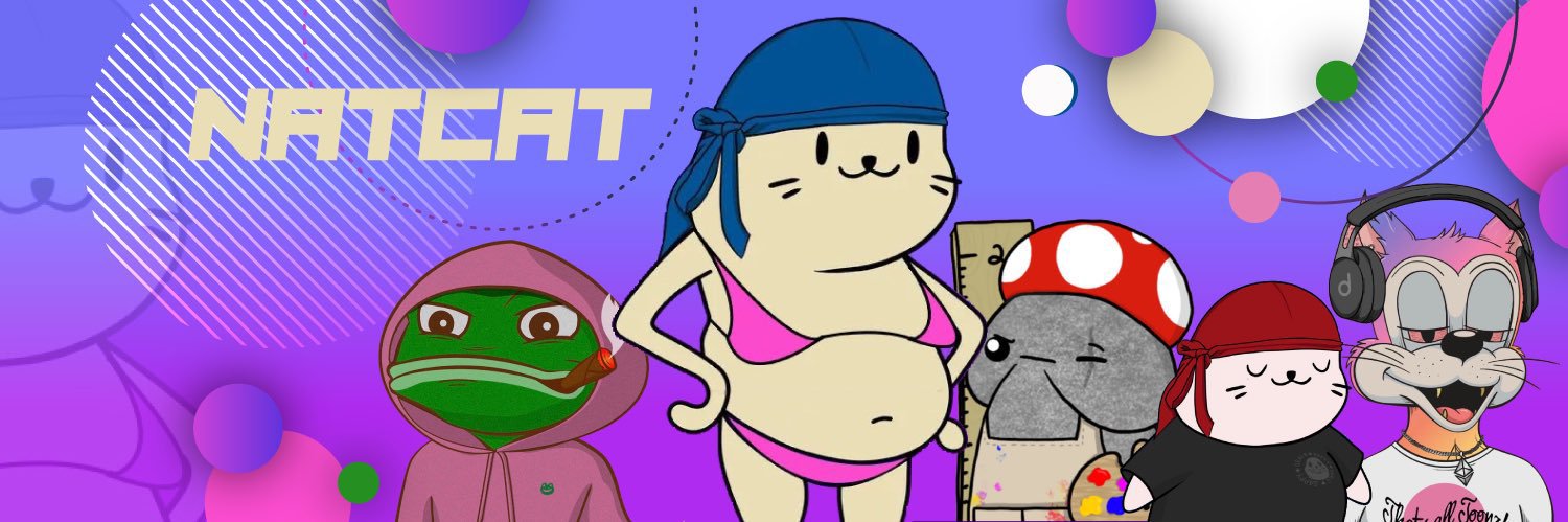NatCat.eth 🐈‍⬛'s banner