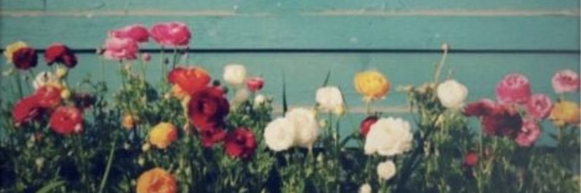 Fatmma4's profile banner image