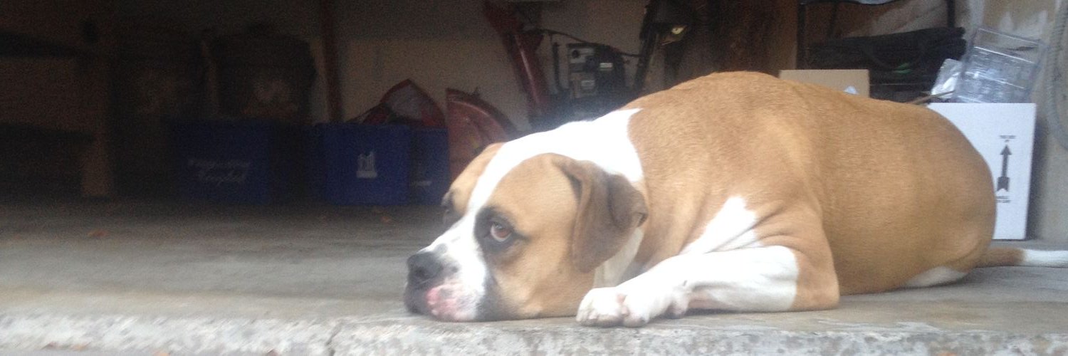 RomanoCheeze19's profile banner image