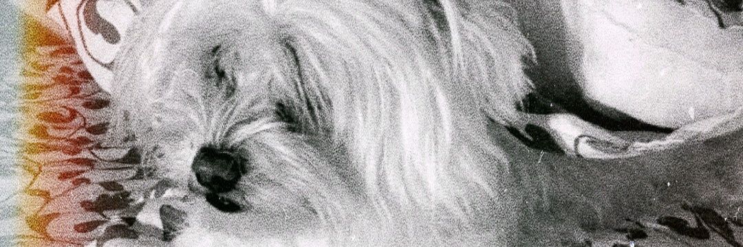 inesperezm2's profile banner image