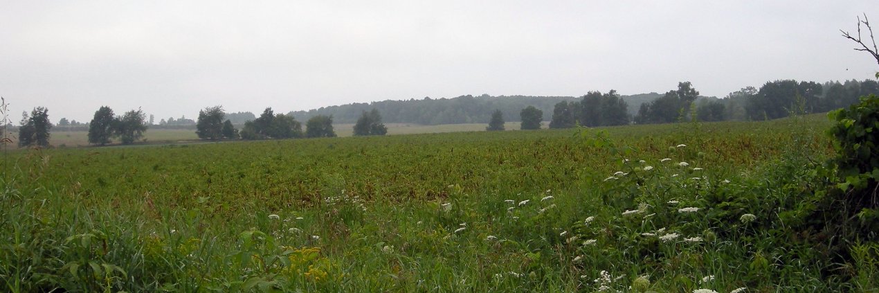 Stuart Grandy banner