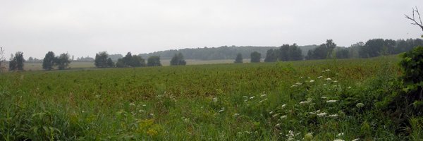 sgrandysoil Profile Banner