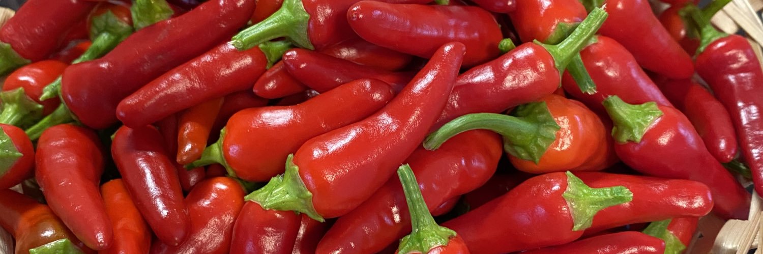 Jonathan Neuscheler banner