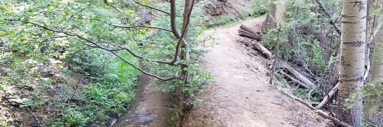 GirlDadSurvivor banner