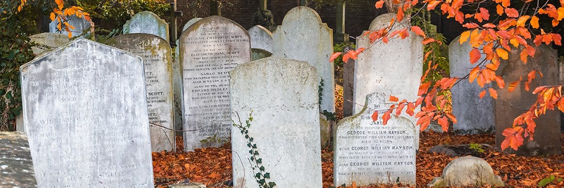 Trout Soup 🐦‍⬛ banner