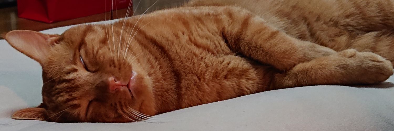 NOBUKOすももくん♡ banner