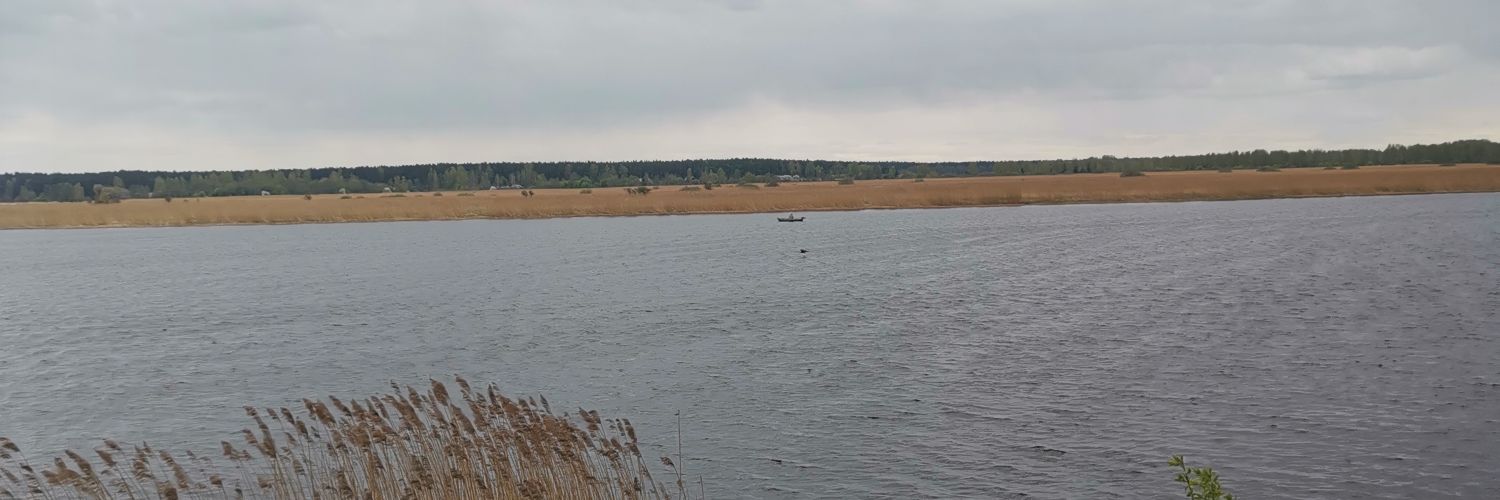 wasp's nest 🇱🇻 banner