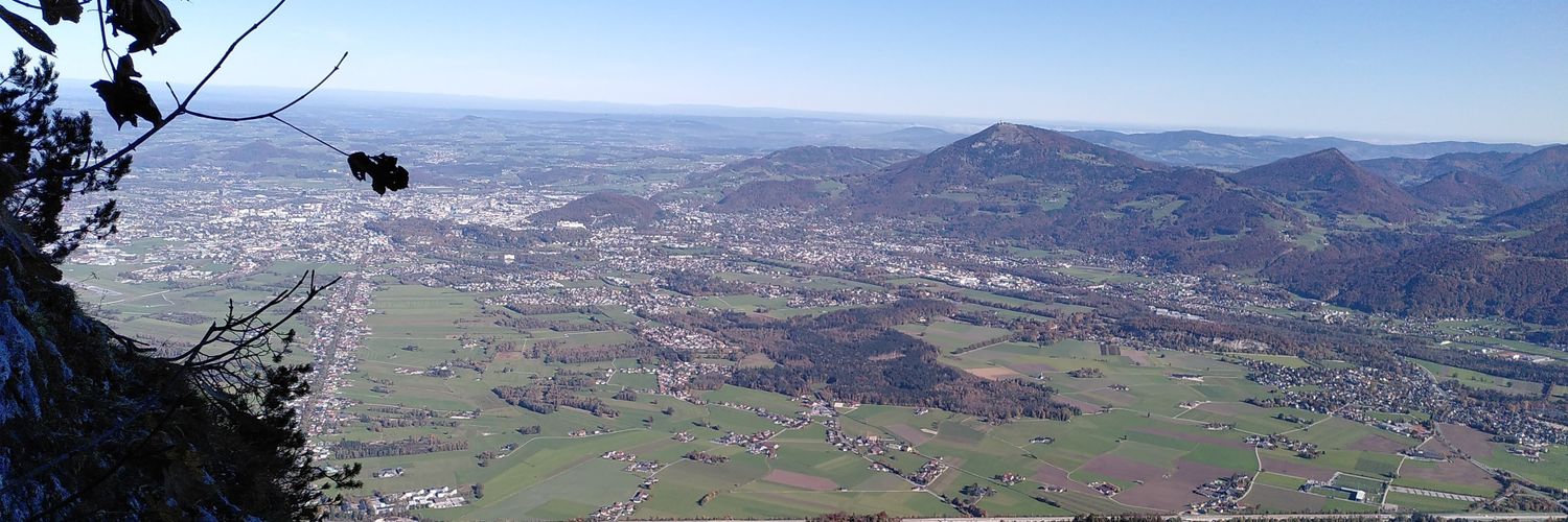 Hans Hofinger banner