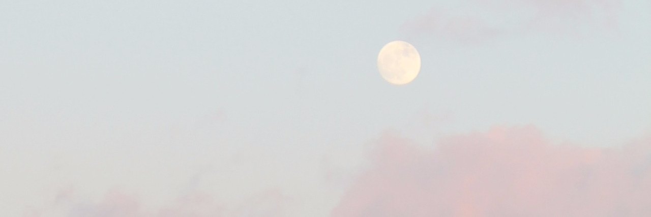 Searching Rol banner