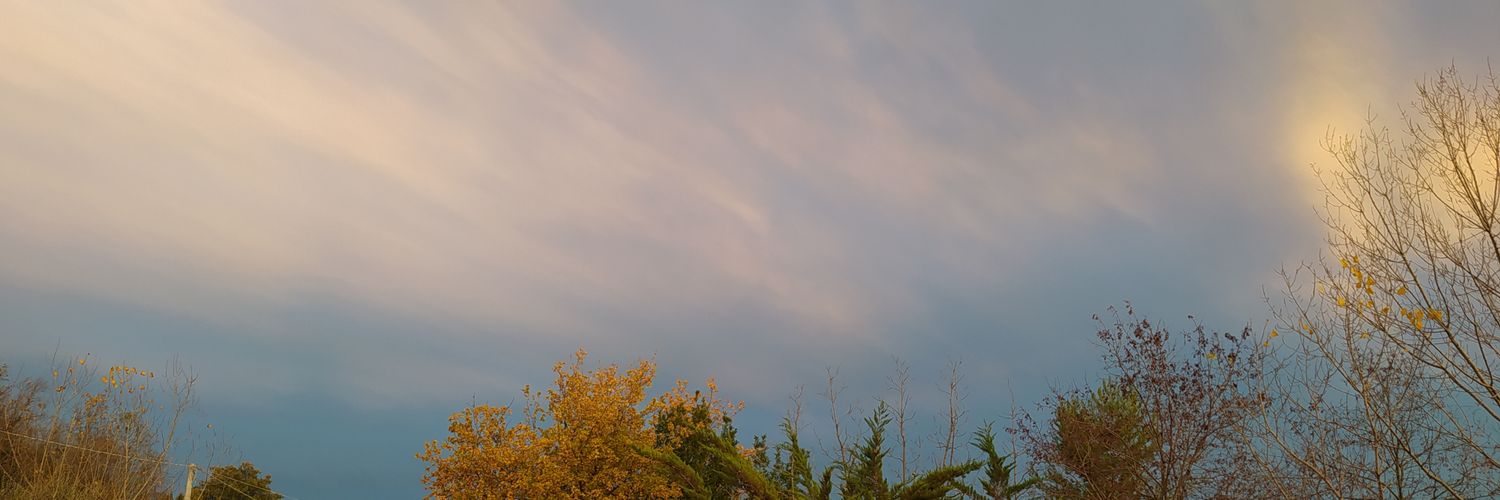nette_anyu's profile banner image