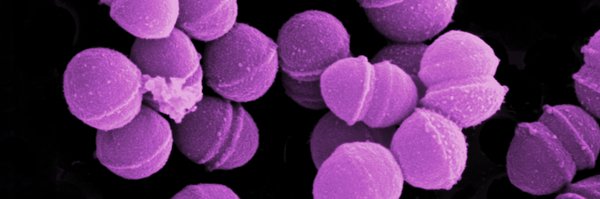 KdoranLab Profile Banner