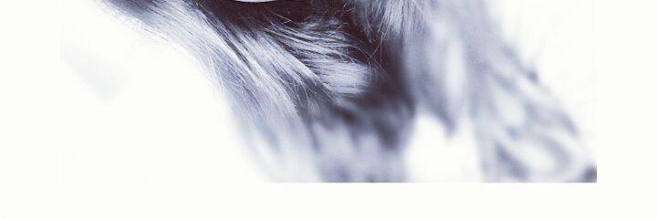 lstrdey's profile banner image