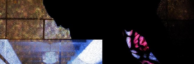 xinxilope's profile banner image