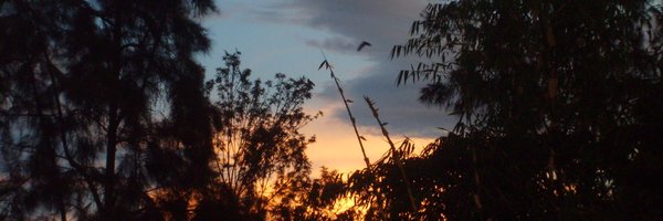 kirrilypells Profile Banner