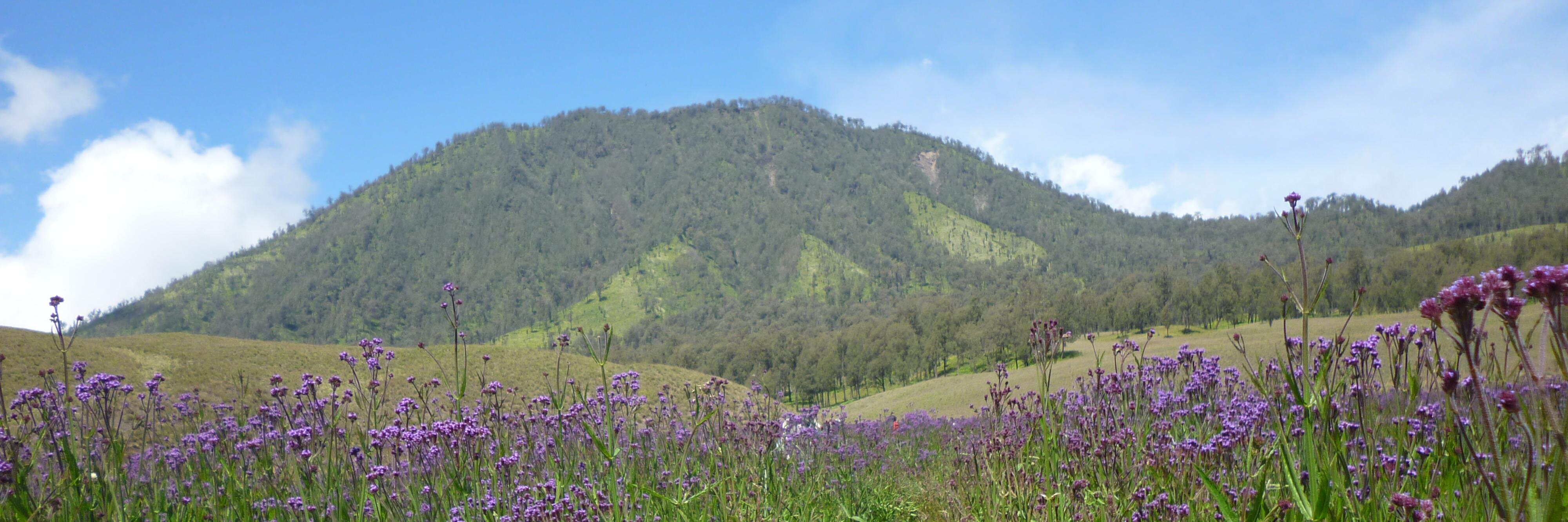 Ramdani_L's profile banner image