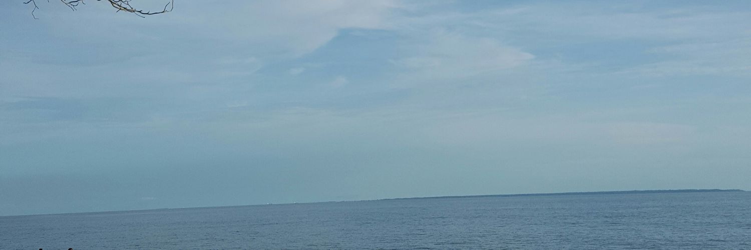 marcoengone's profile banner image