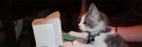 Hellombre 🦈 banner