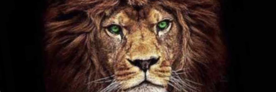 abbeybkay's profile banner image