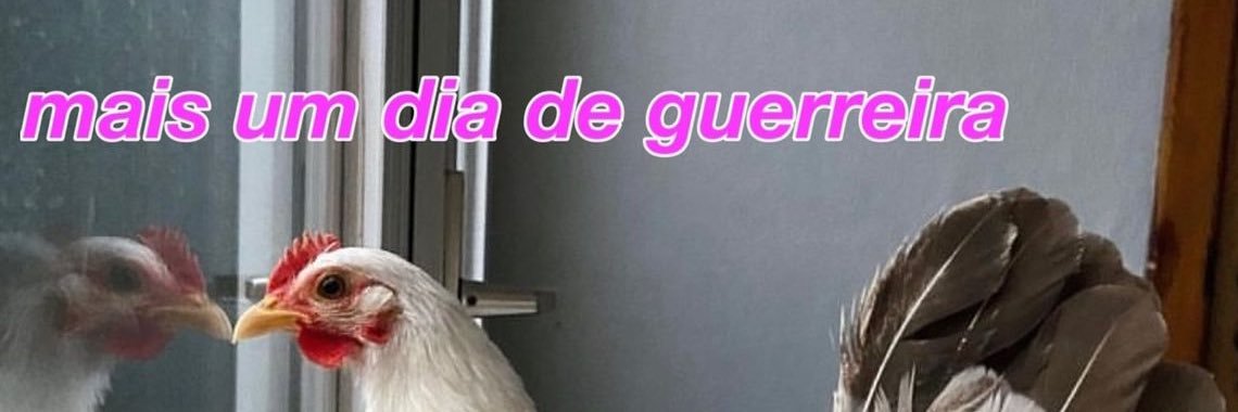 BruBru banner