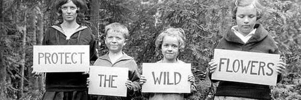 FMelroseWriter Profile Banner