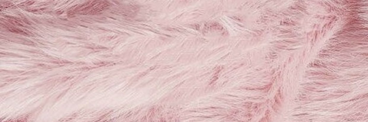 EstelBonet's profile banner image