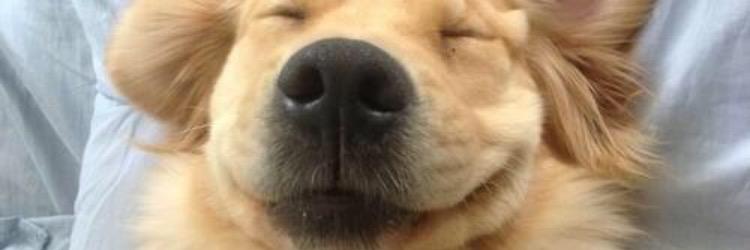 angermanagemint's profile banner image