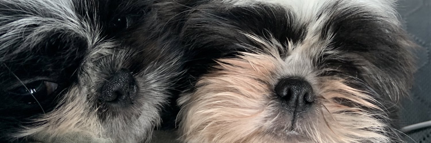 eunicee_dy's profile banner image
