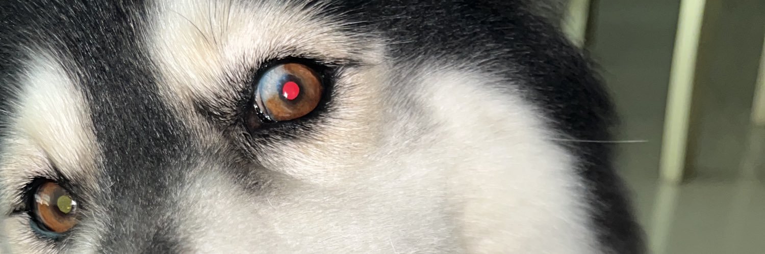 JjjdanielDe's profile banner image