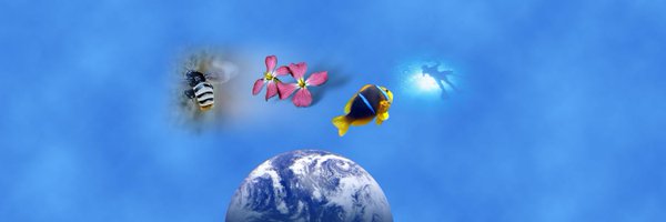 eembucsb Profile Banner