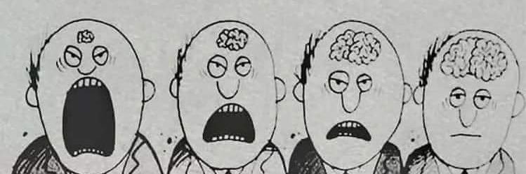 S banner