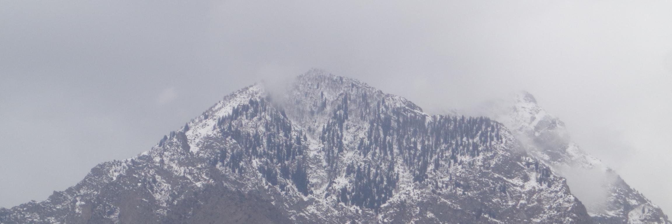 Dr. Waheed Iqbal banner