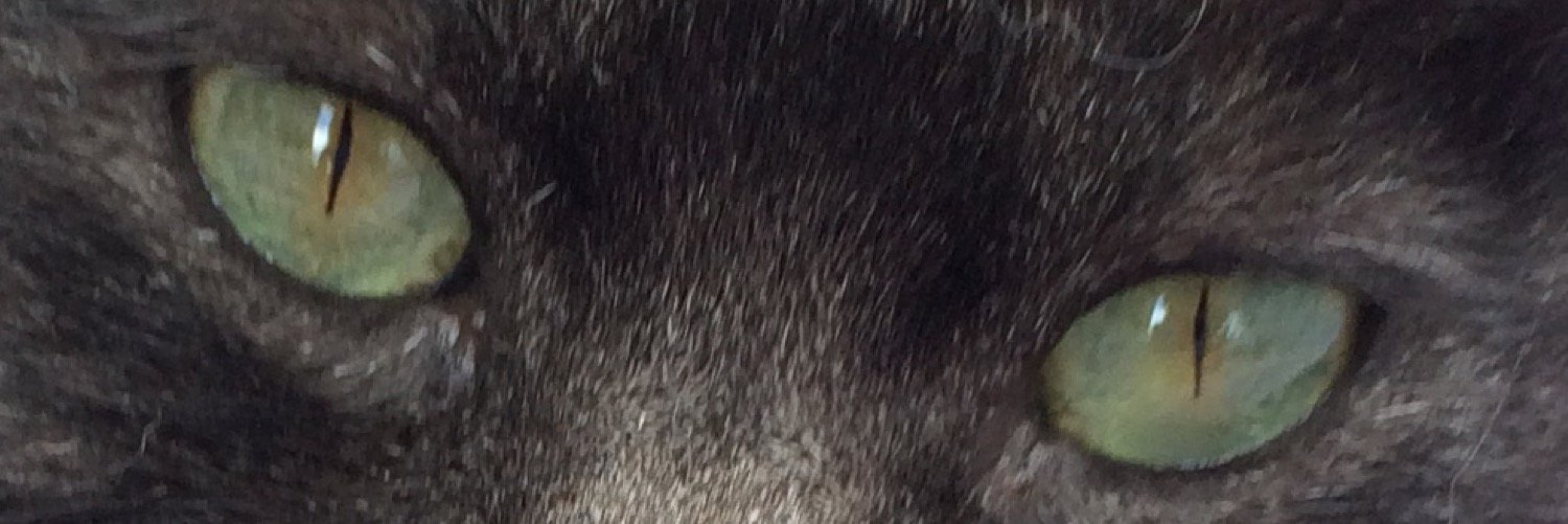aishiart's profile banner image