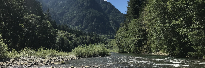 Scott Simpson banner