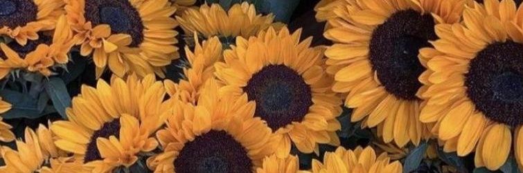 ines_puigvert's profile banner image