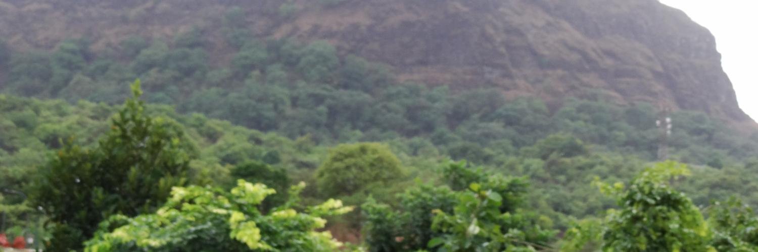 patriothind's profile banner image
