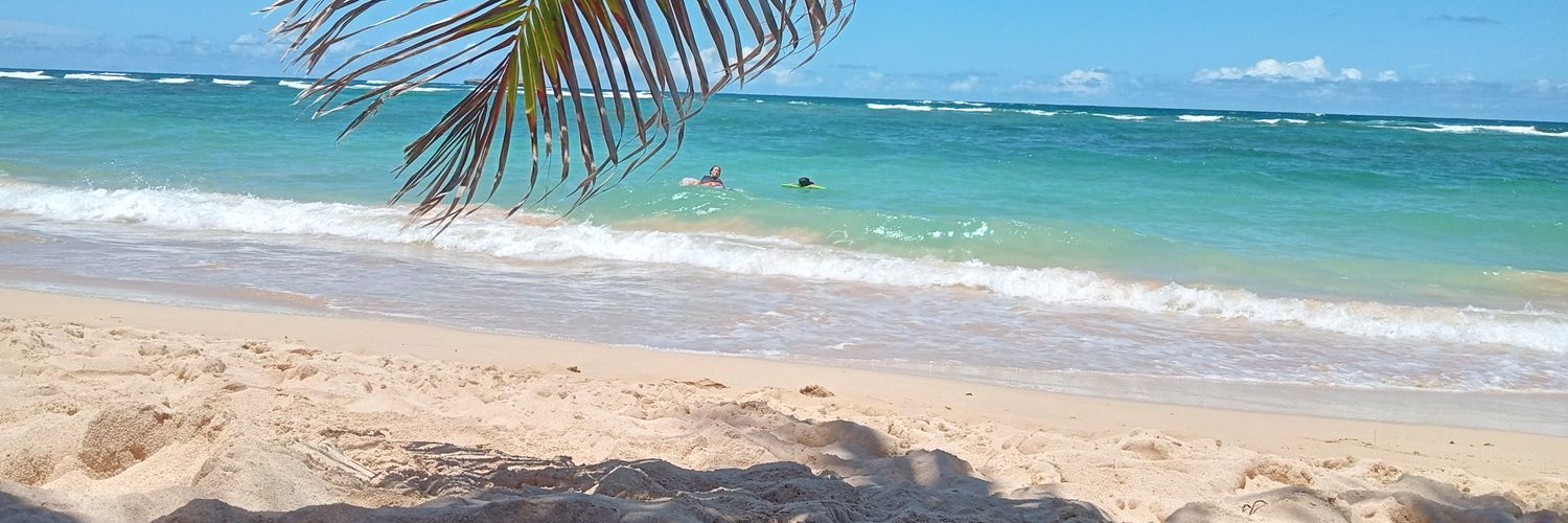 Eddie Villanueva Jr. banner