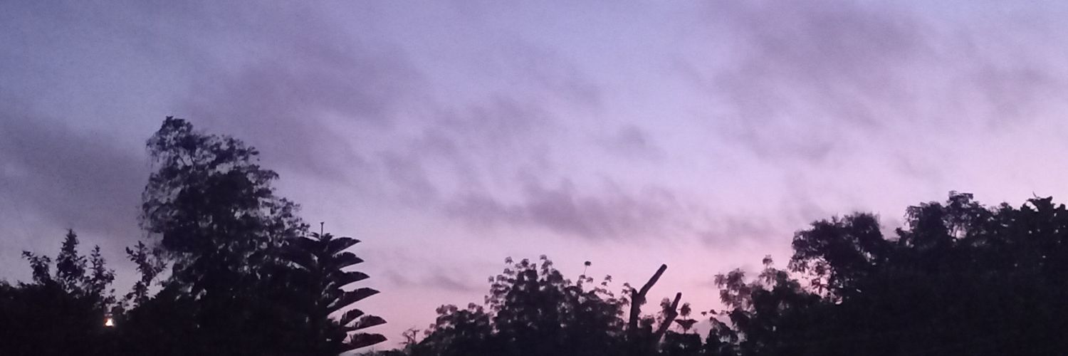 CTorna's profile banner image