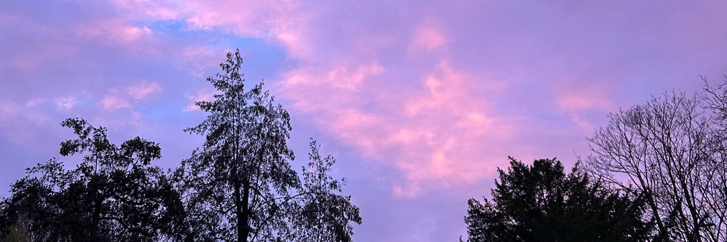 ChloeSlash_'s profile banner image