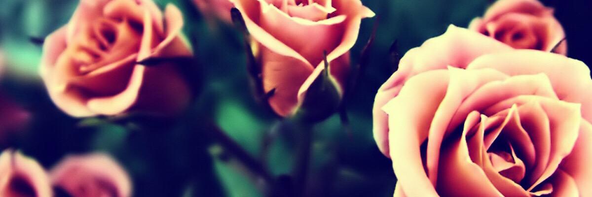 MandinaMarie's profile banner image