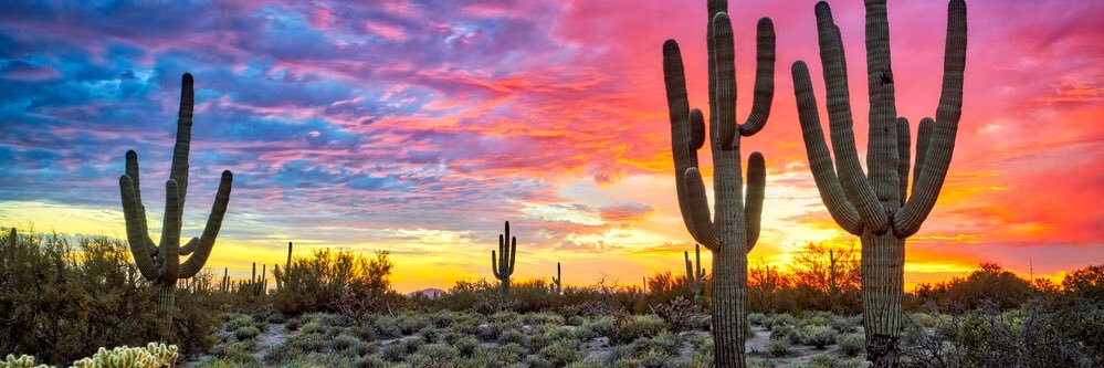 Cassie Miller Blinn banner