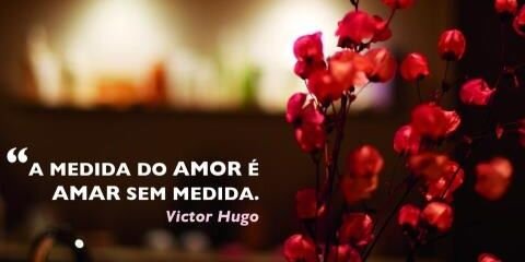 virginiapessoa's profile banner image