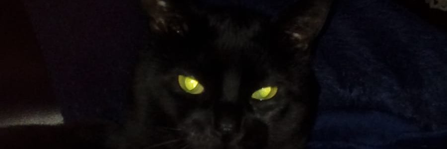 Vitilla2's profile banner image