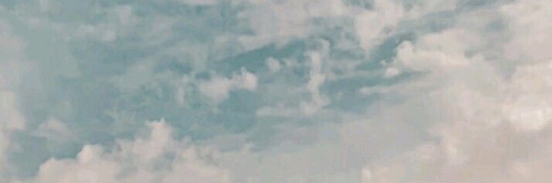 Fernanda Arcanjo banner