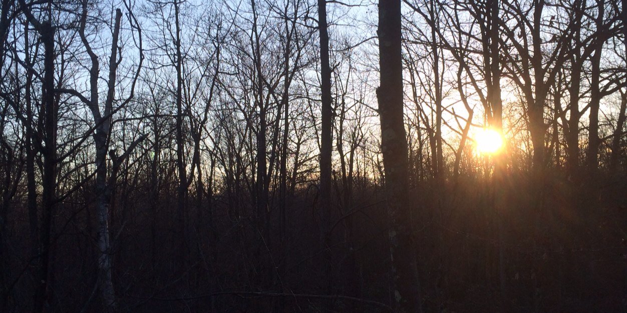 IanWillGil's profile banner image