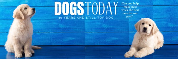 Dogs_Today Profile Banner