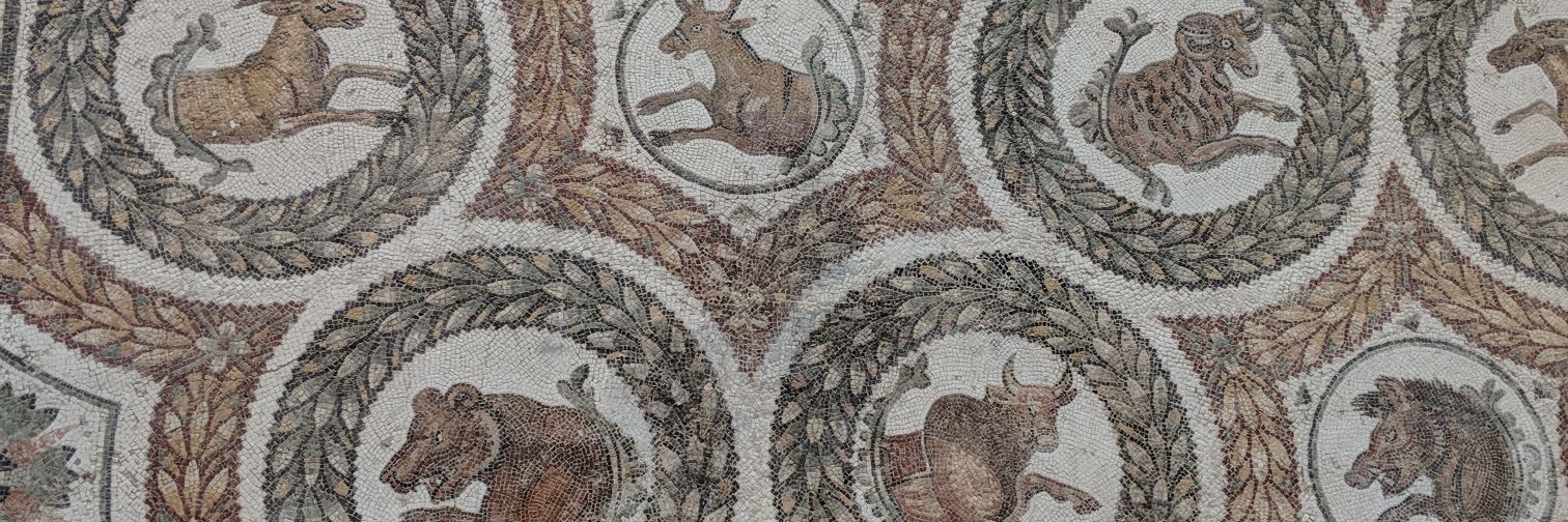 Faten Castaignet banner